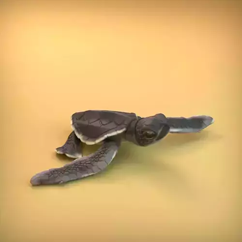 Sea Turtle Hatchling for 3D printing 3D print model