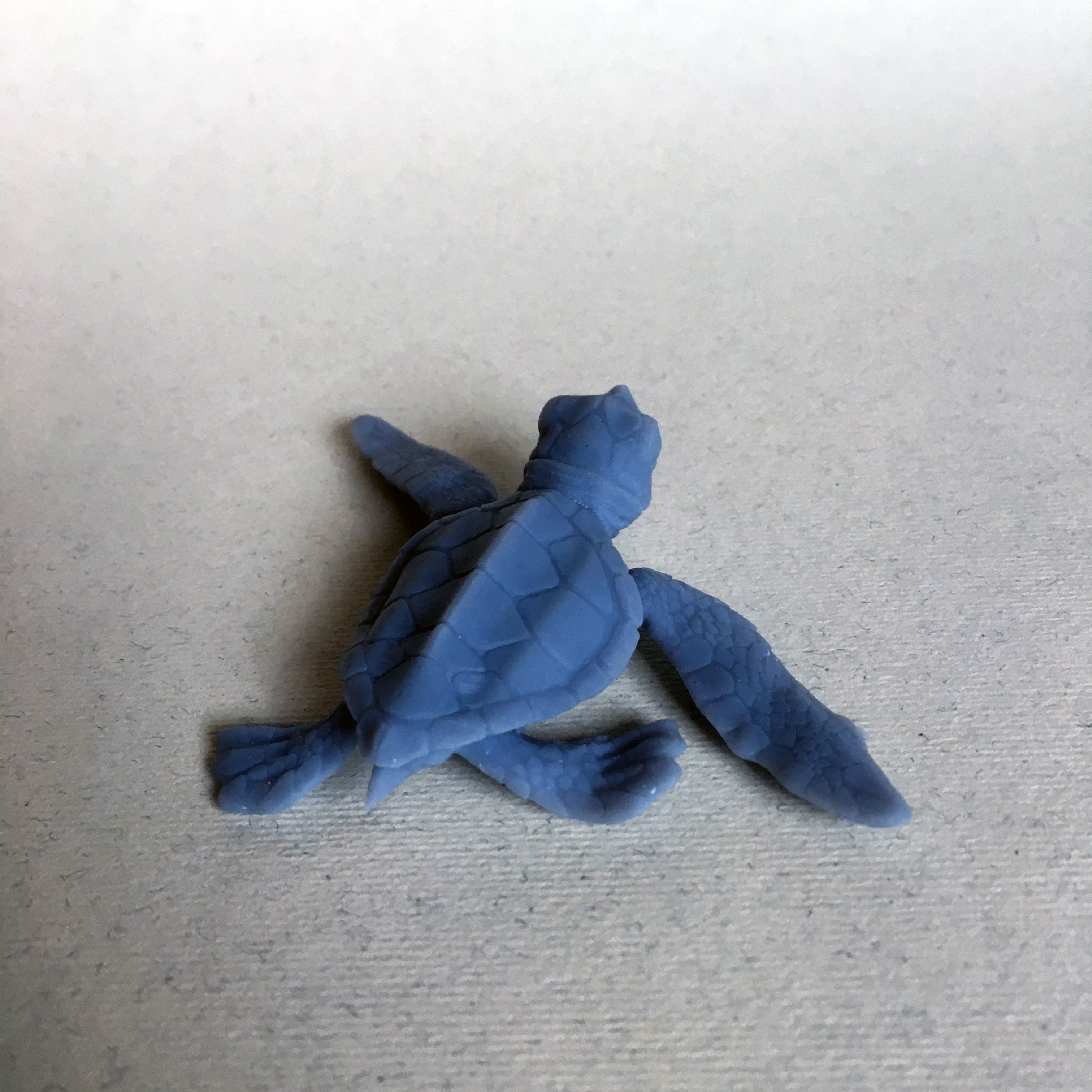 Sea Turtle Hatchling for 3D printing 3D print model_2