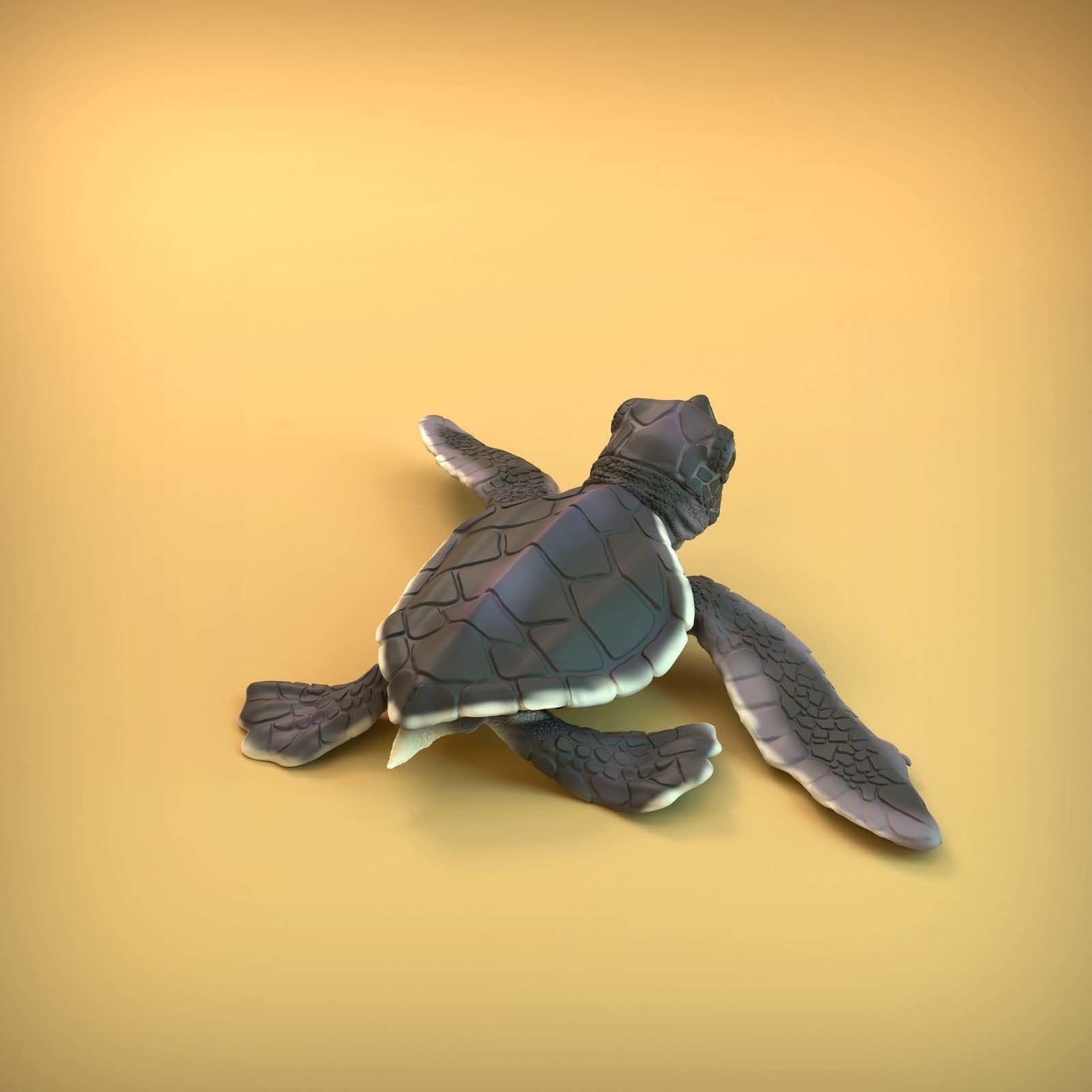 Sea Turtle Hatchling for 3D printing 3D print model_5