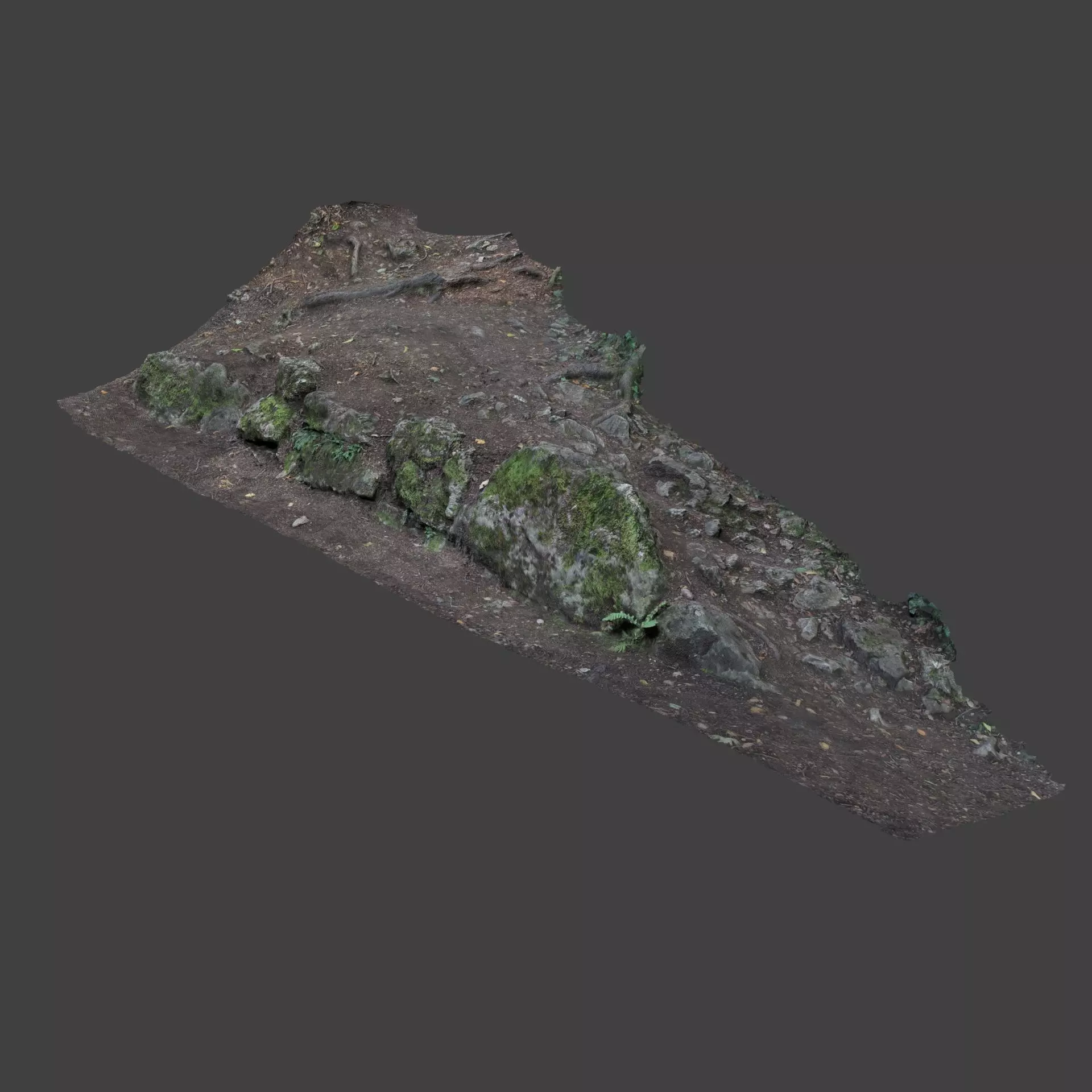 Forest Stones 3D model
