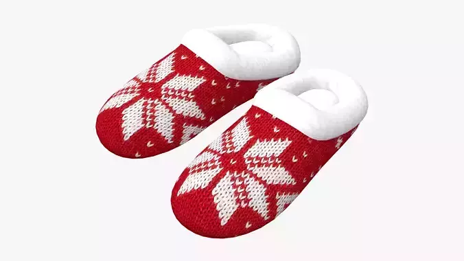 Christmas Slippers