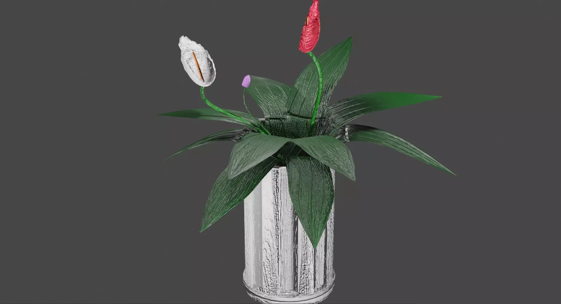 spathiphyllum flower in vase Free 3D model_0