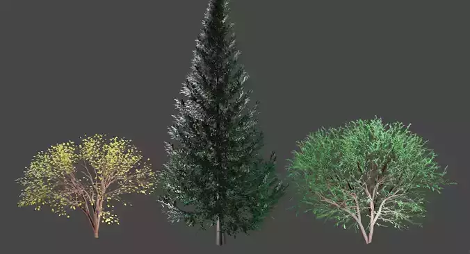 Tree-wood three trees 3D model