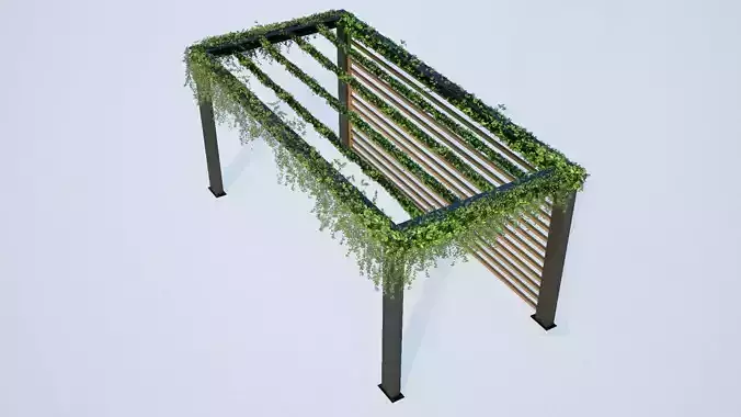 PERGOLA WITH CREEPER