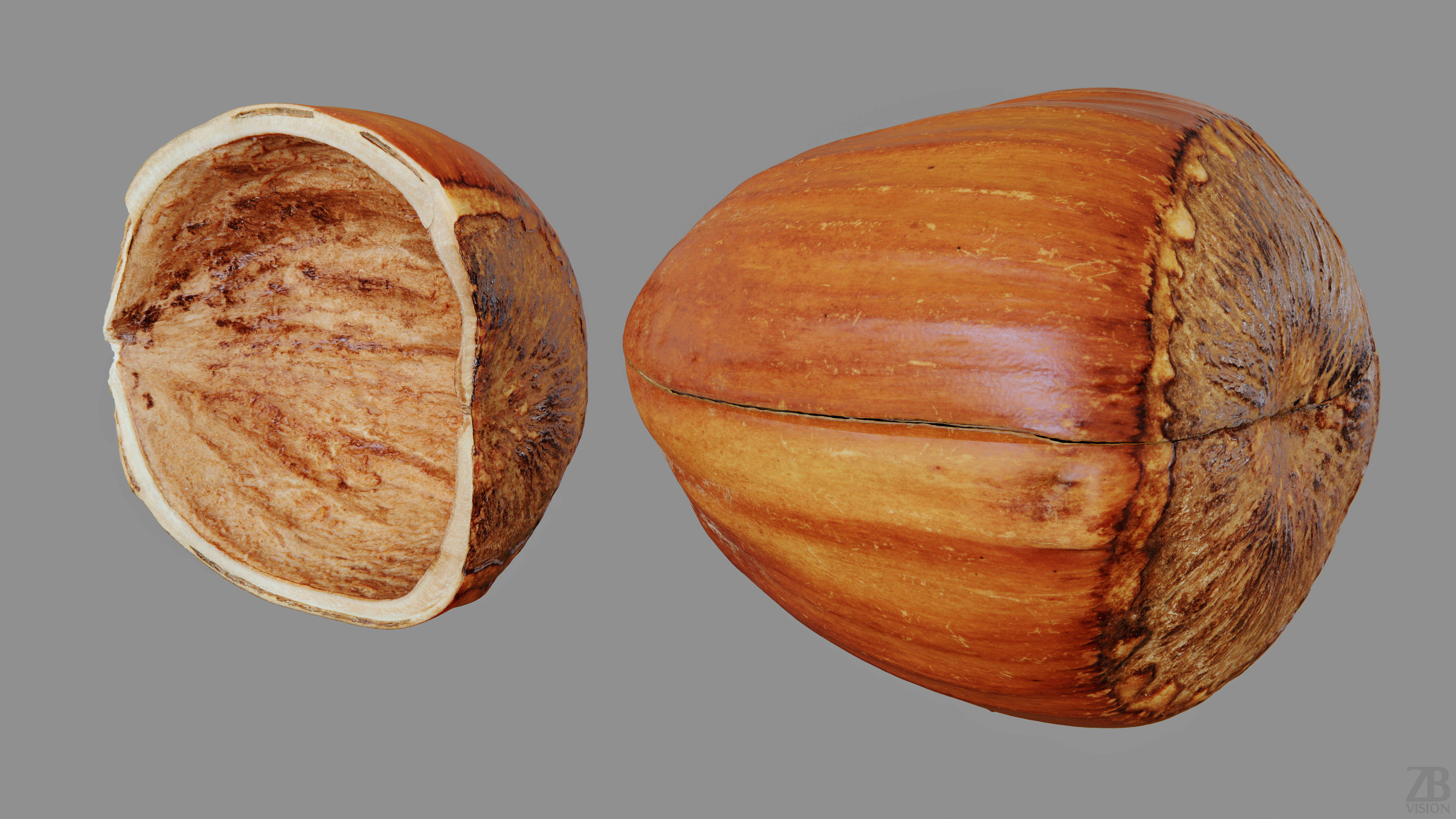 Hazelnut 3D model_12