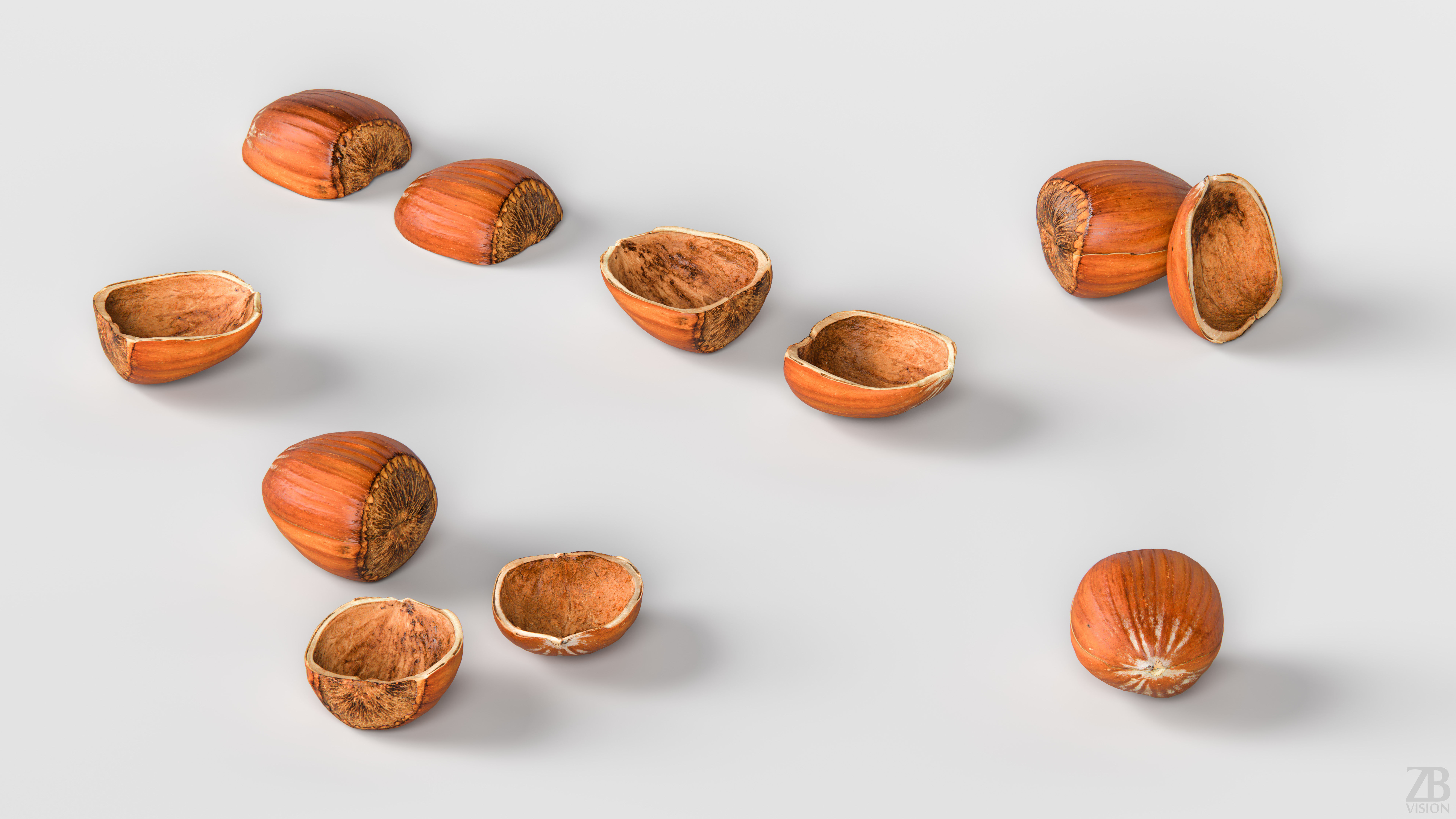 Hazelnut 3D model_2