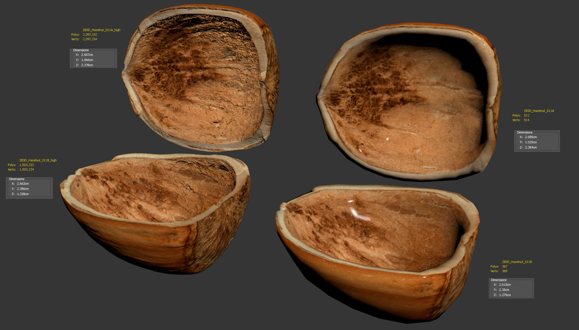 Hazelnut 3D model_8