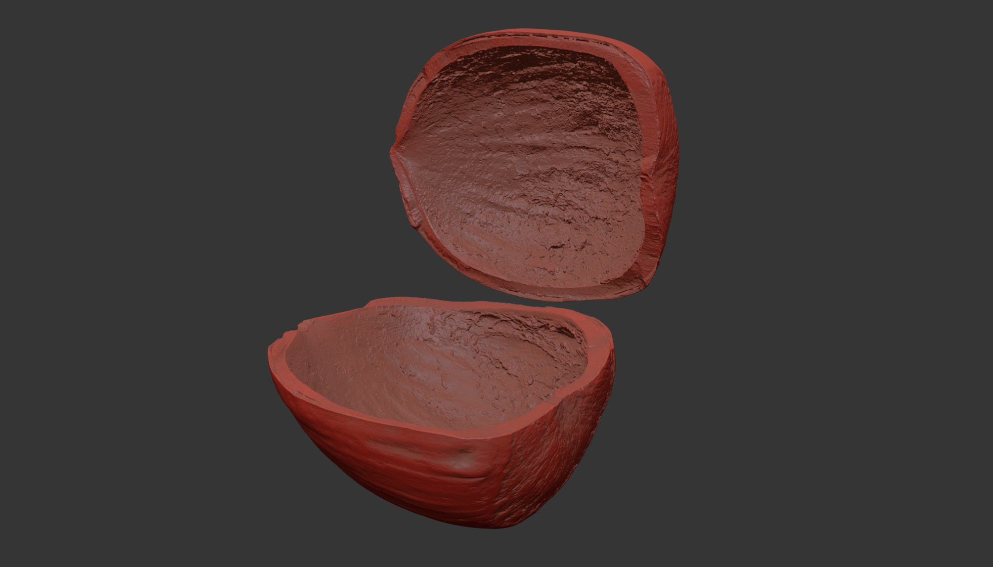 Hazelnut 3D model_10