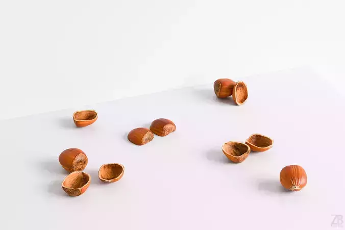 Hazelnut 3D model