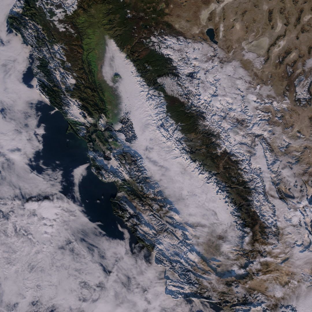 California Ariel Mesh Free 3D model_2