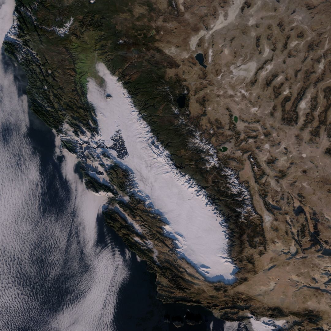 California Ariel Mesh Free 3D model_3