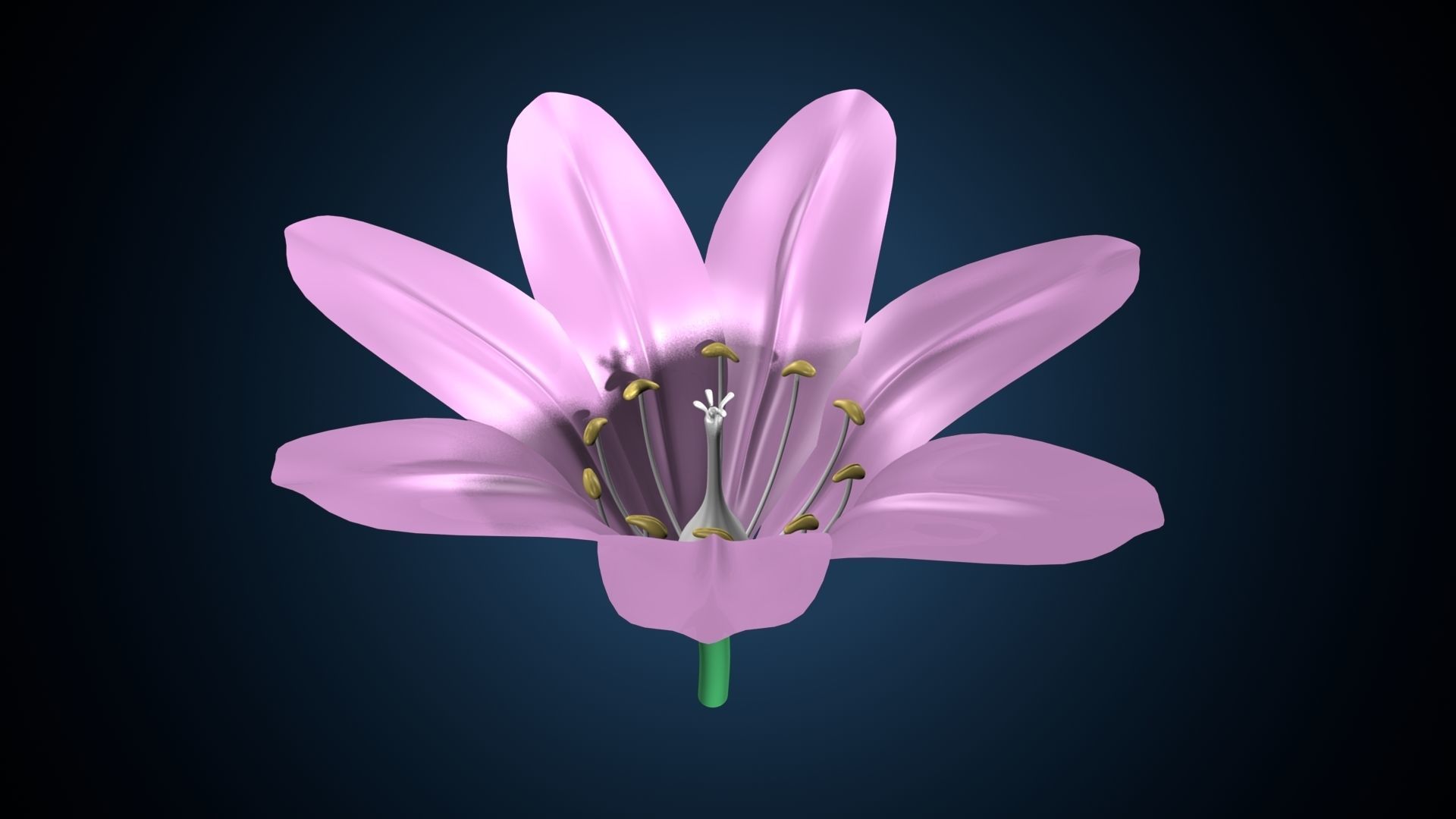 anther flower 3D model_2