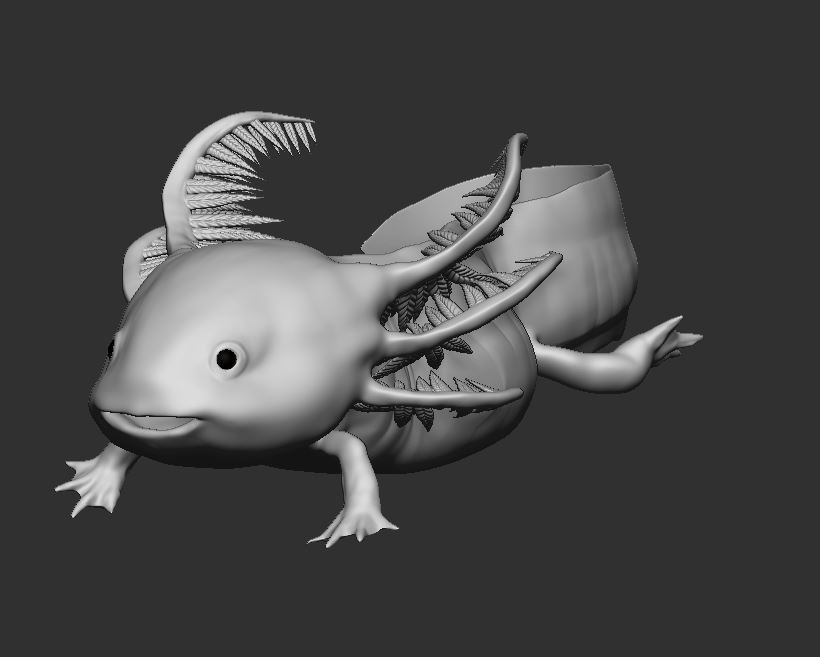 Ambystoma mexicanum 3D FIGURE  3D print model_4