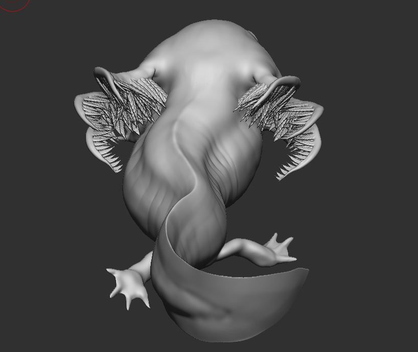 Ambystoma mexicanum 3D FIGURE  3D print model_2