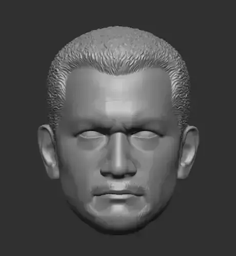 Hot Toys style Clone Trooper Boil head sculpt 3D print model