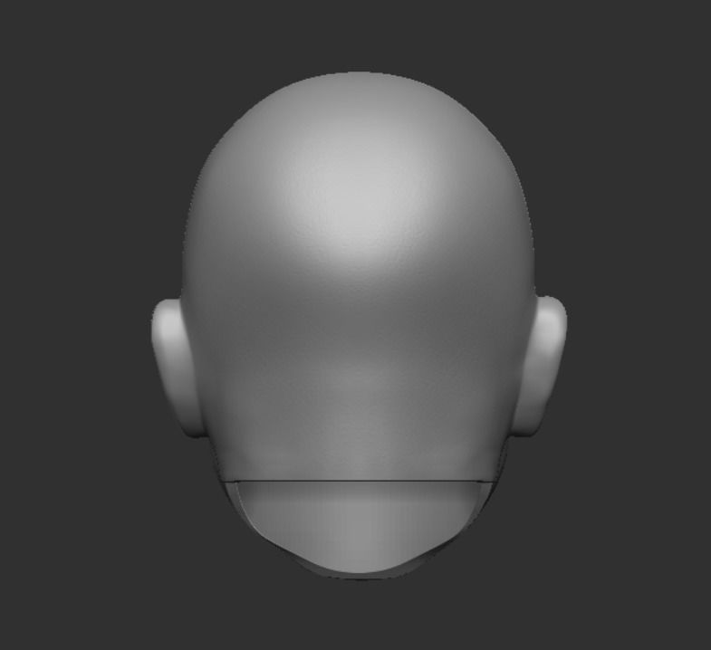 Hot Toys style Clone Trooper Waxer head sculpt 3D print model_3