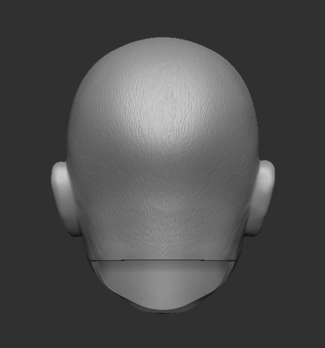 Hot Toys style buzzcut Clone Trooper head sculpt 3D print model_3