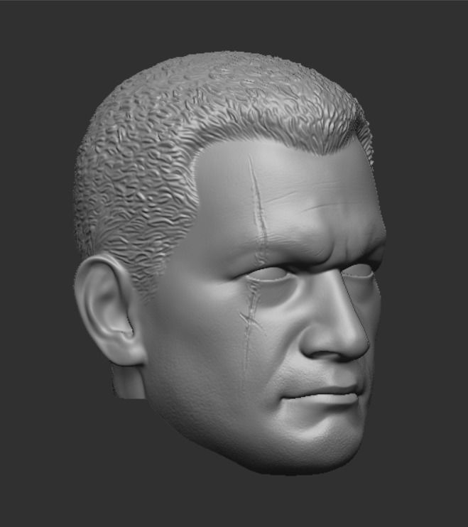 Hot Toys style Commander Wolffe head 3D print model_5