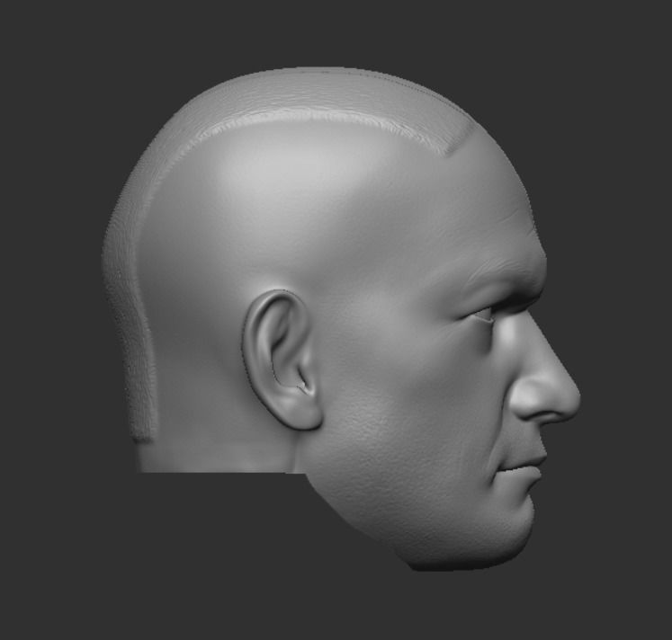 Hot Toys style Commander Gree head 3D print model_4