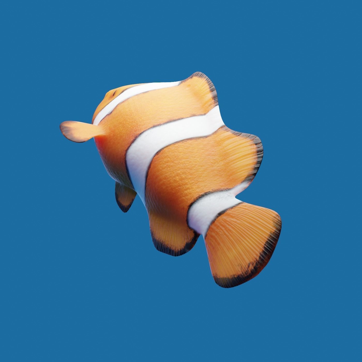 Realistic anemone clownfish ocean reef fish rigged  Low-poly 3D model_2