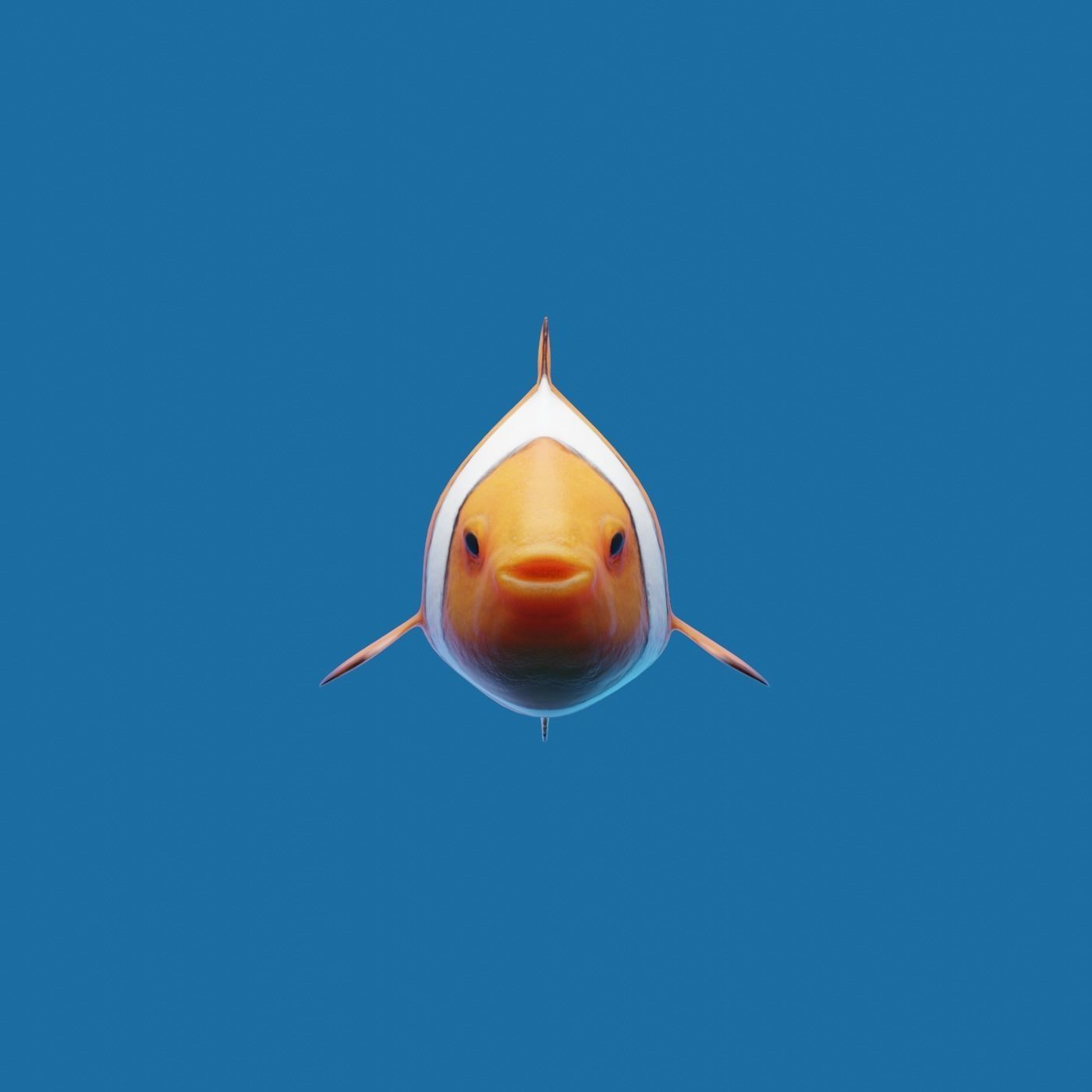 Realistic anemone clownfish ocean reef fish rigged  Low-poly 3D model_1