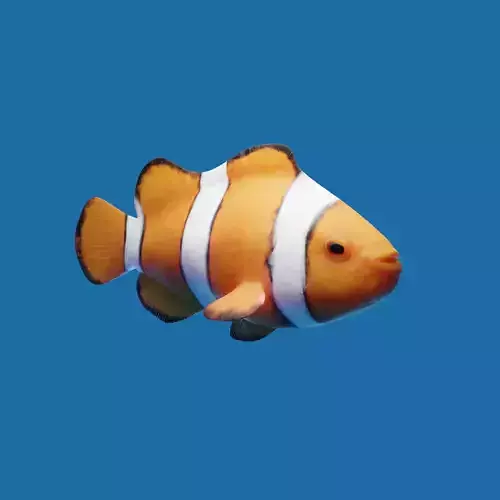 Realistic anemone clownfish ocean reef fish rigged  Low-poly 3D model