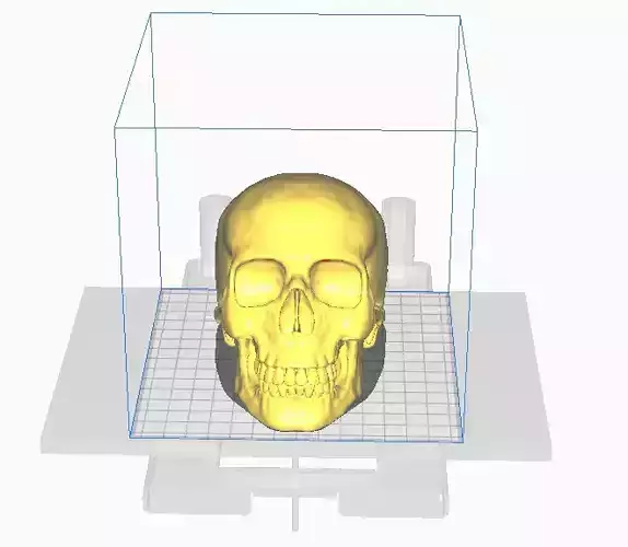 skull in box Free 3D print model