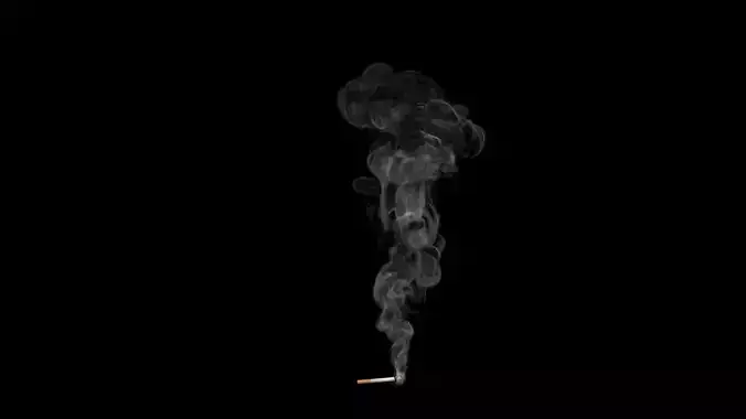 Cigarette and smoke fog 3D model
