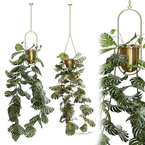 Pendant Plant Set Swiss Cheese 3D model