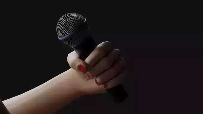 Shure Beta 58a Microphone - PBR