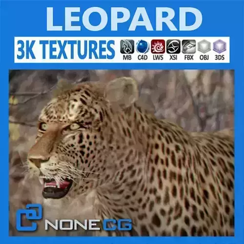 Leopard