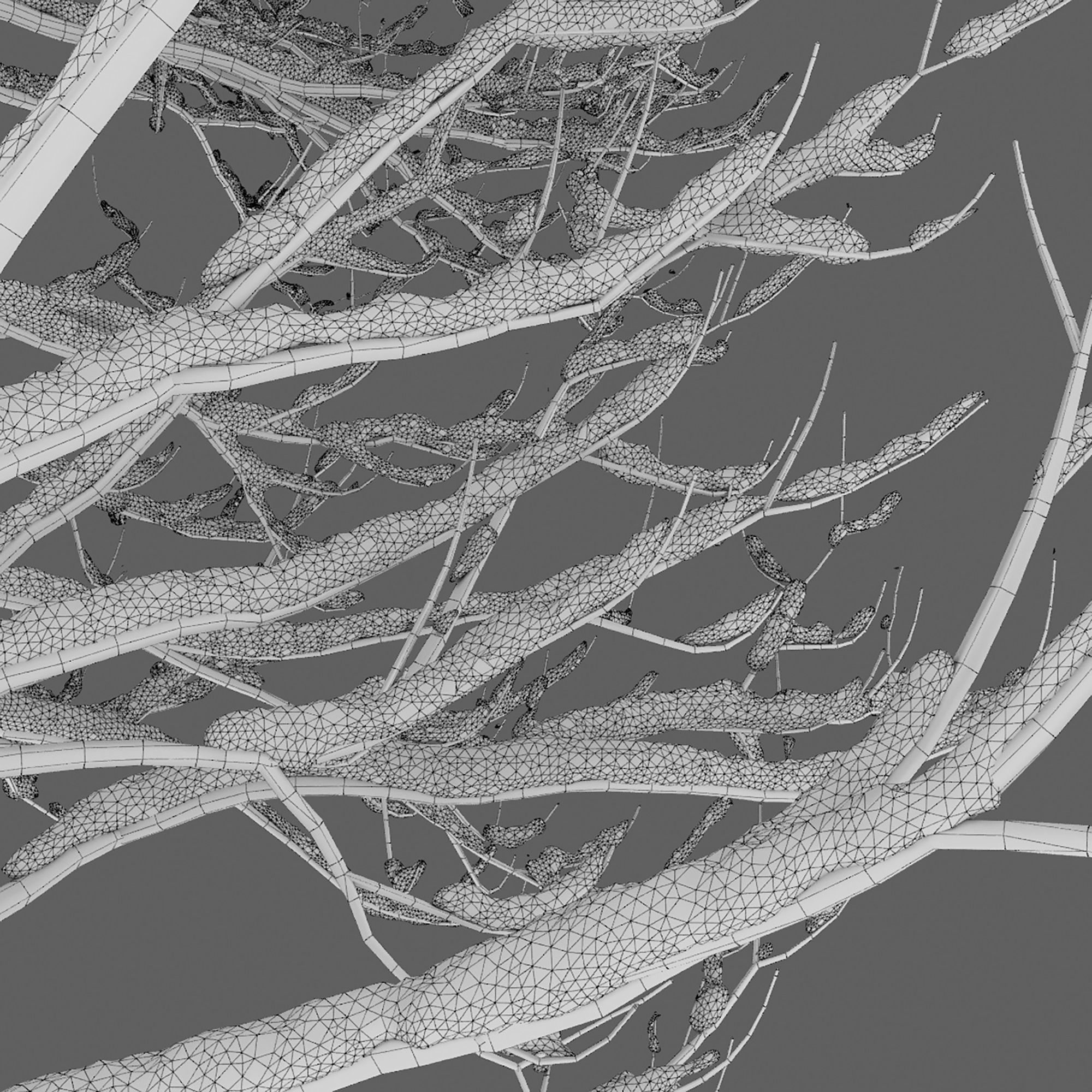 Syringa 04 Winter 3D model_5