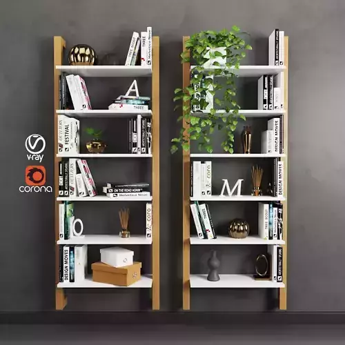 Modern Bookcase
