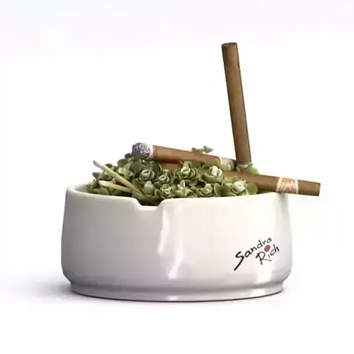 Natural Plant Ash Tray