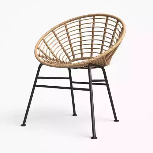 Shell outdoor Dining Chair wicker