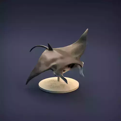 Manta Ray for 3D printing 3D print model