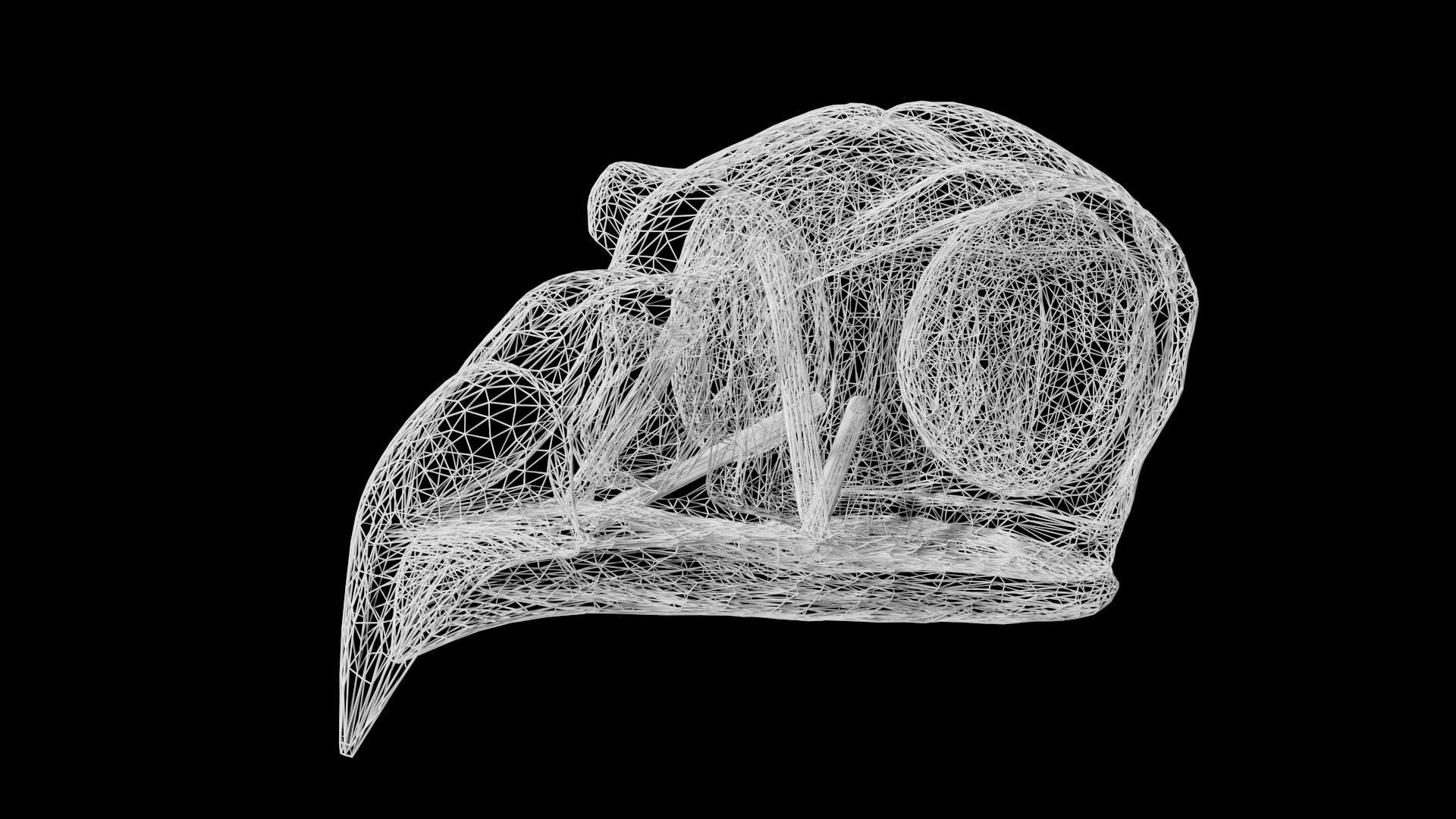 Bird Skull Low-poly 3D model_8