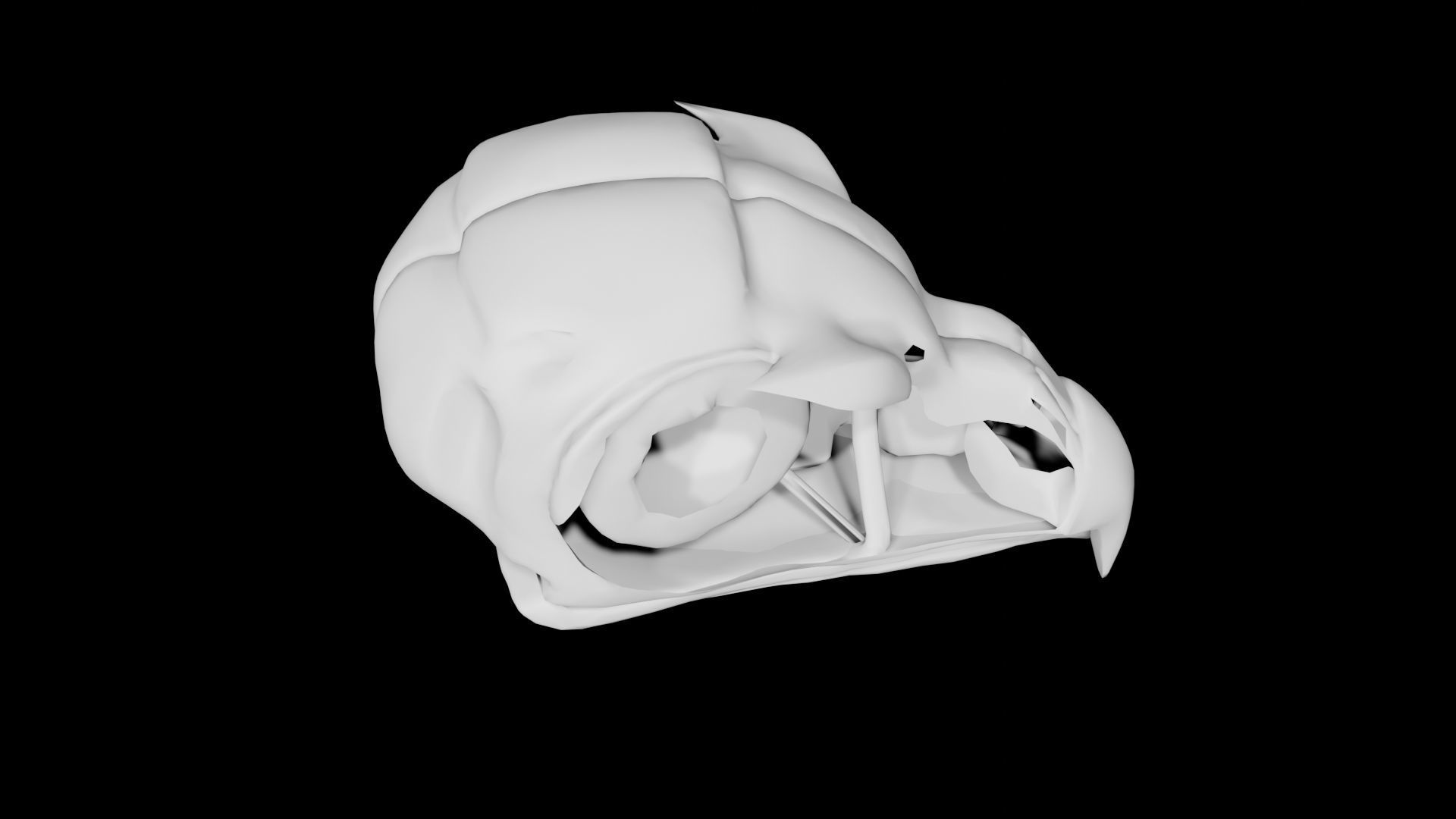 Bird Skull Low-poly 3D model_3
