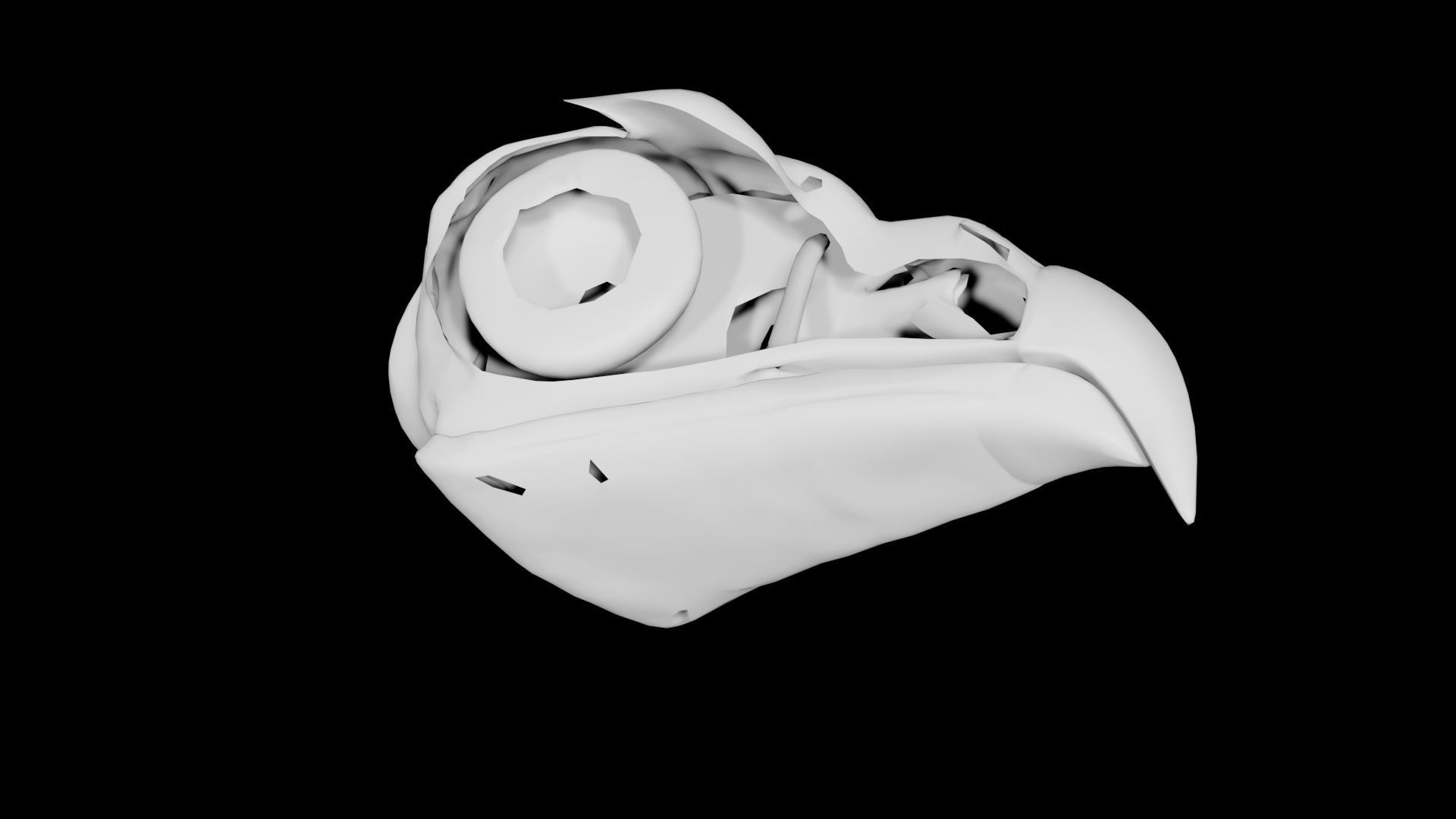 Bird Skull Low-poly 3D model_4