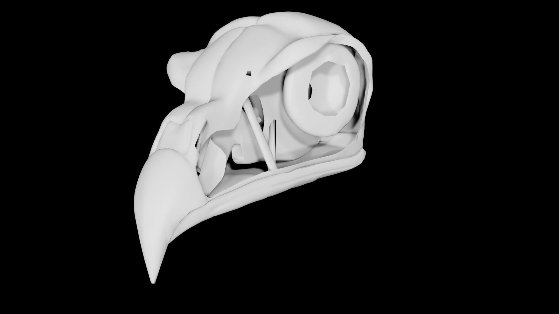 Bird Skull Low-poly 3D model_6
