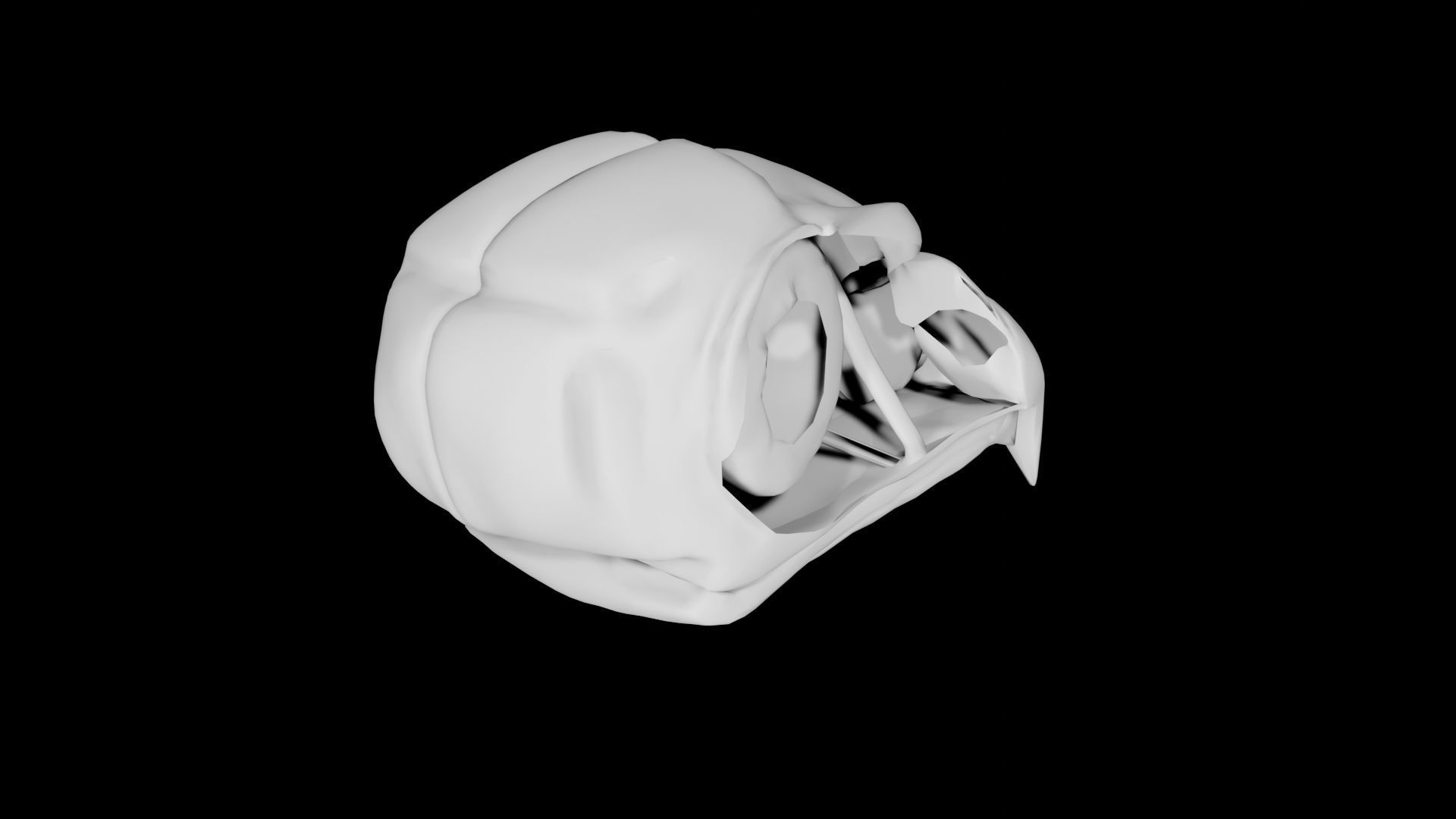Bird Skull Low-poly 3D model_5