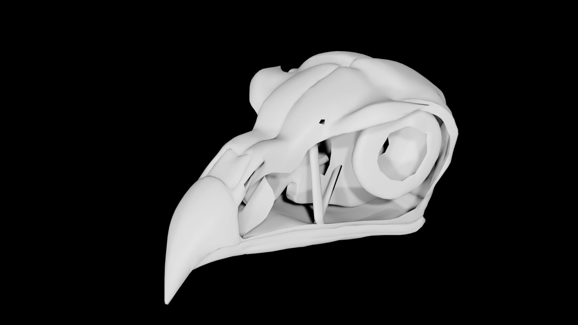 Bird Skull Low-poly 3D model_1