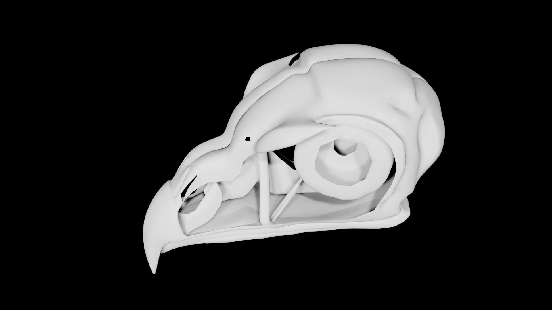 Bird Skull Low-poly 3D model_2
