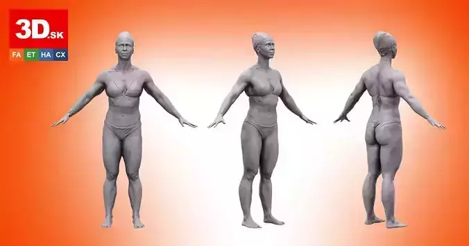 3D Base Body Scan Petra 3D model