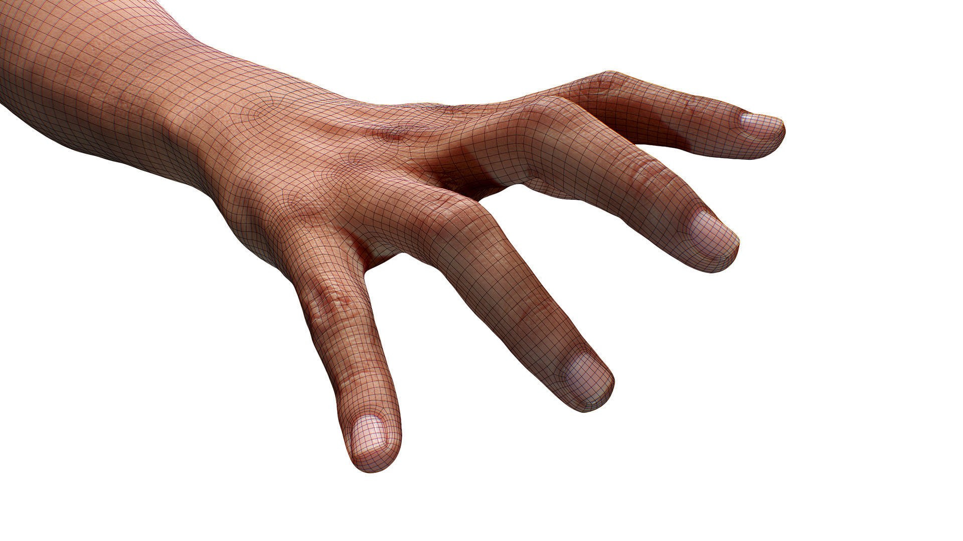 3D Retopologized Hand Scan Helmi 3D model_6