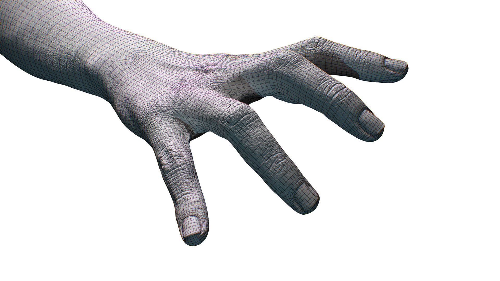 3D Retopologized Hand Scan Helmi 3D model_8
