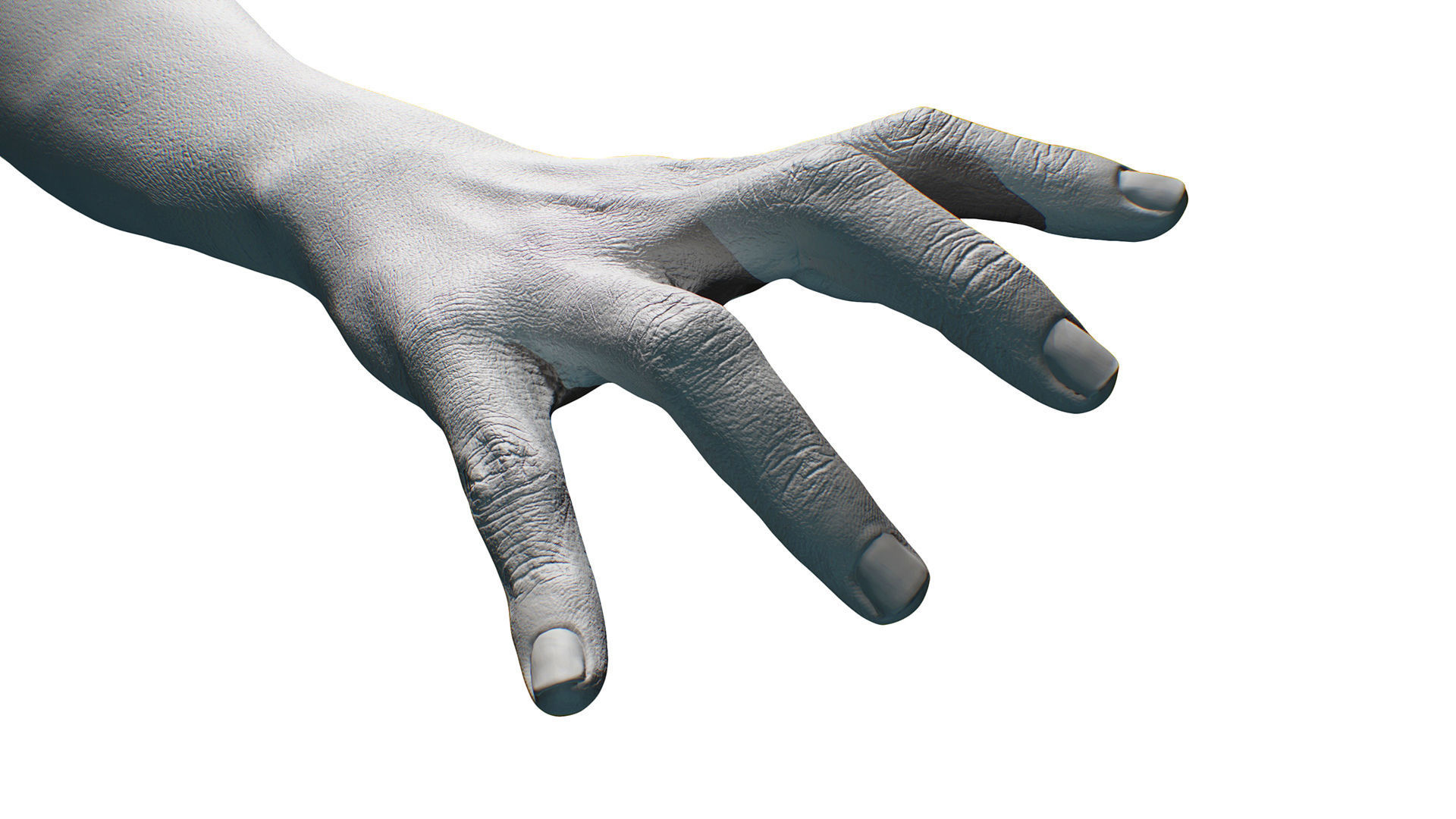 3D Retopologized Hand Scan Helmi 3D model_7