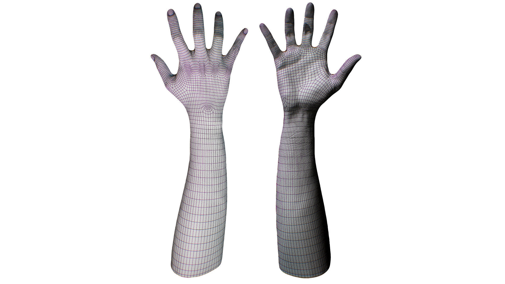 3D Retopologized Hand Scan Helmi 3D model_4