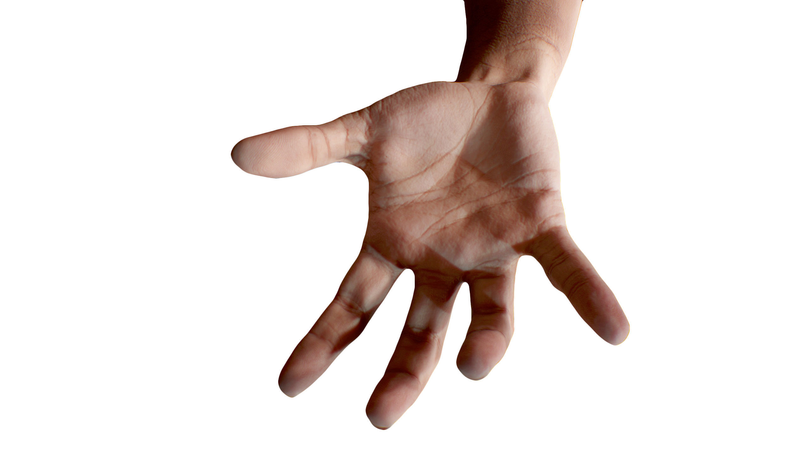 3D Retopologized Hand Scan Helmi 3D model_9