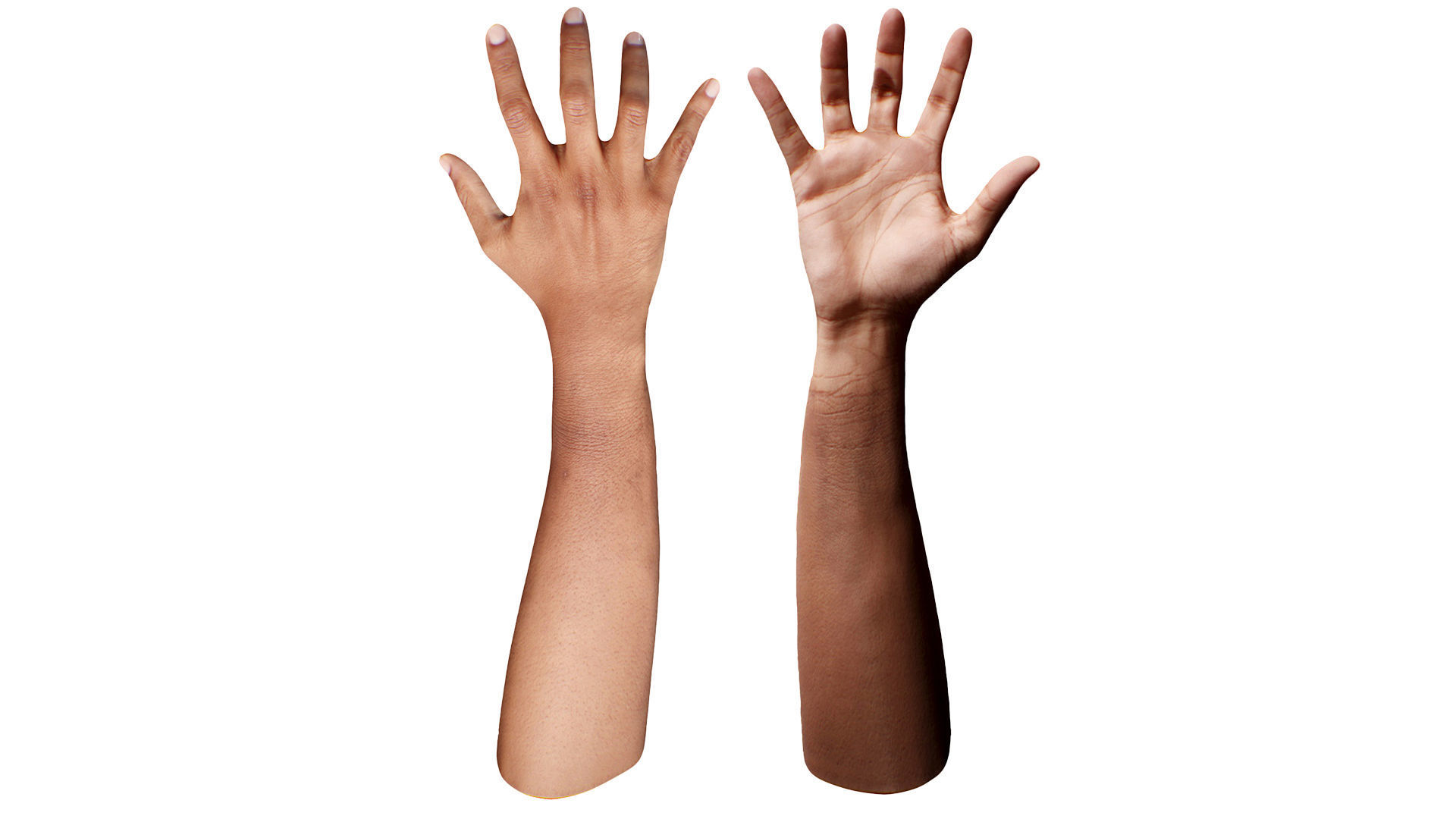 3D Retopologized Hand Scan Helmi 3D model_3